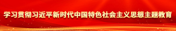 操大美女骚逼逼视屏学习贯彻习近平新时代中国特色社会主义思想主题教育